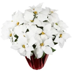 Northlight 26" White Artificial Christmas Poinsettia In Red Wrapped Base 7 Northlight 26" White Artificial Christmas Poinsettia In Red Wrapped Base -Northlight Holiday Outlet Store GUEST 4e9b6292 e847 469a b800 e0c59e7063d2