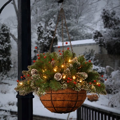 National Tree Company Pre-Lit Artificial Christmas Hanging Basket, Mountain Spruce, With Frosted Pine Cones, Berry Clusters, White Lights,20 Inches 1 National Tree Company Pre-Lit Artificial Christmas Hanging Basket, Mountain Spruce, With Frosted Pine Cones, Berry Clusters, White Lights,20 Inches