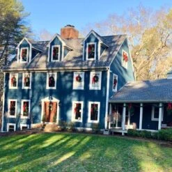 Northlight 24" Unlit Canadian Pine Artificial Christmas Wreath -Northlight Holiday Outlet Store GUEST 6cca1dfc a278 43b6 ab26 36d525bf9ff4